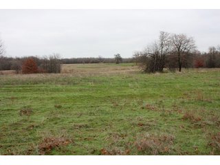 Property photo 29 - Creek County - Oklahoma Land Auction, 1,107 Acres 2 Tracts